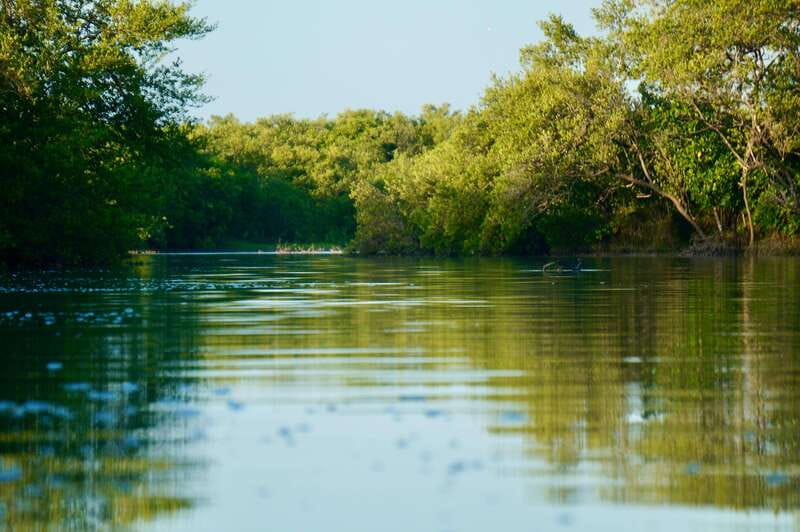 Holbox: Mangrove Sunset Kayak Tour - A snack break inside the river