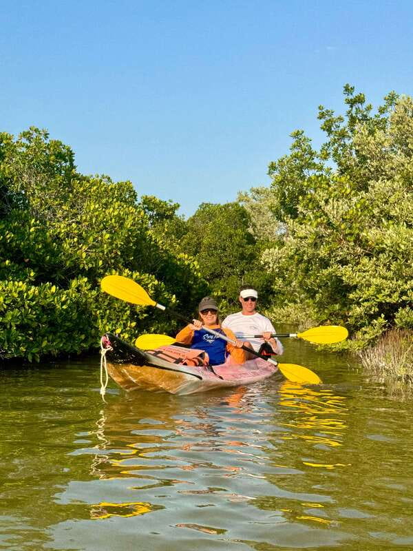 Holbox: Mangrove Sunset Kayak Tour - What the $55 price really covers