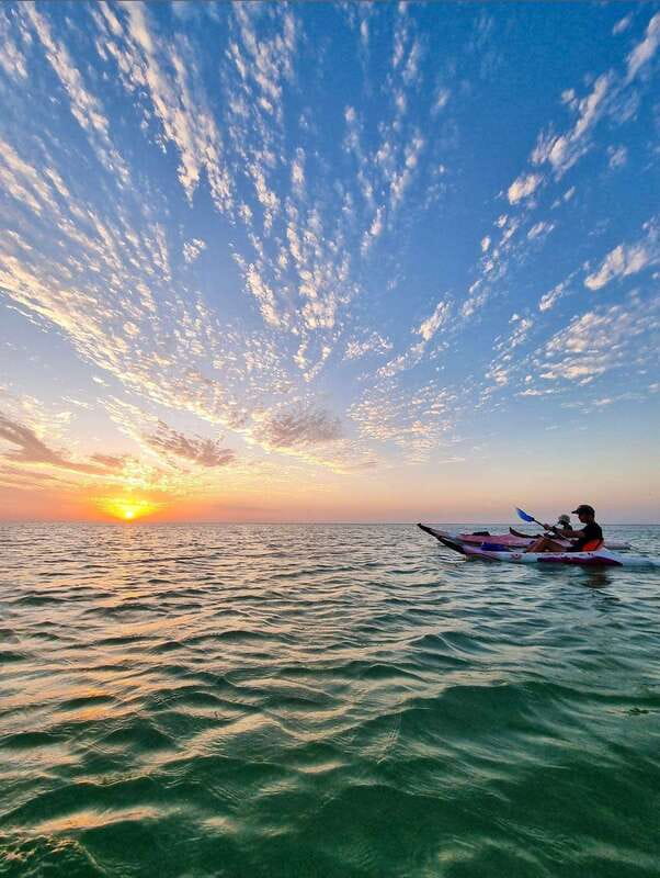 Holbox: Mangrove Sunset Kayak Tour - From Holbox town to the sandbanks