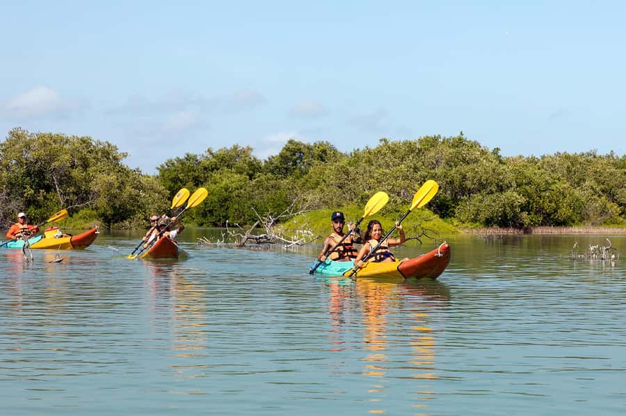 Holbox: Sunrise Kayak Tour through the Mangroves - Key points at a glance
