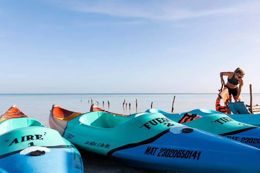 Holbox: Sunrise Kayak Tour through the Mangroves - Who will enjoy this morning most