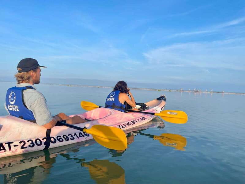 Holbox: Sunrise & Mangrove Kayak Tour - Weather, Timing, and Wildlife Expectations