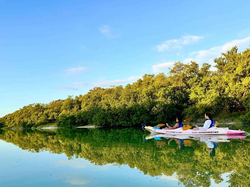Holbox: Sunrise & Mangrove Kayak Tour - Looking for Flamingos and American Crocodiles