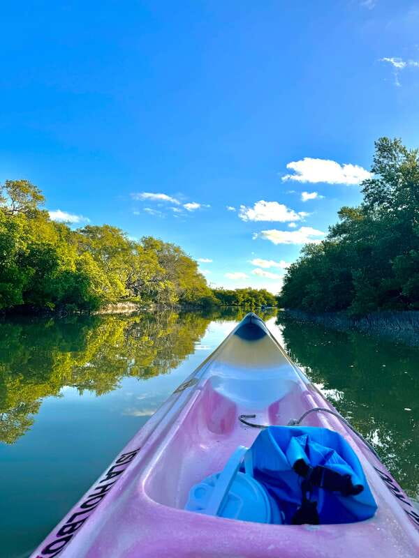 Holbox: Sunrise & Mangrove Kayak Tour - A Quiet Break in the Mangroves