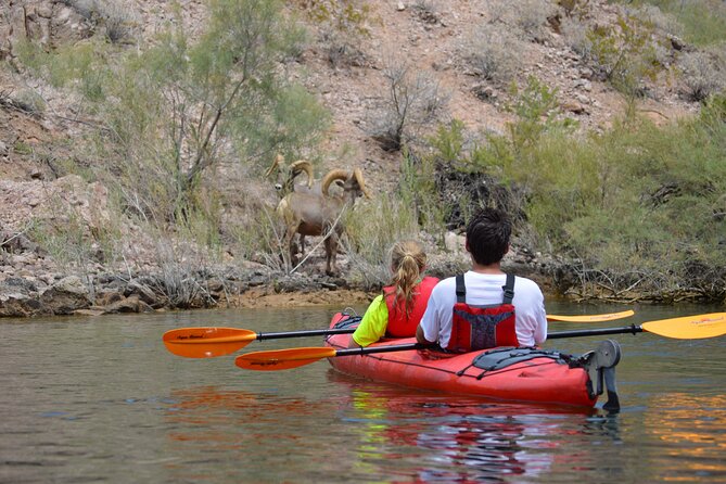 Hoover Dam & Hot Springs Kayak Tour with Lunch & Expert Guide - Why the view from Hoover Dam’s base matters