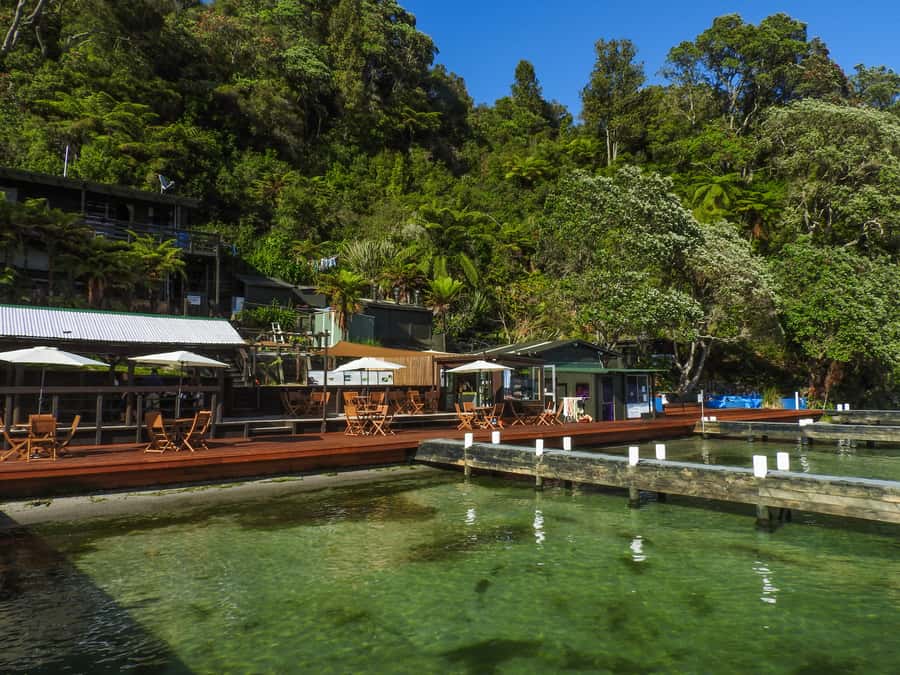 Hot Pools Kayak & Evening Barbecue - Why this Rotorua trip feels different