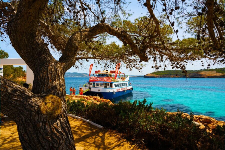 Ibiza: Beach Hopping Cruise w/ Paddleboard, Food, & Drinks - Cala Tarida and the open-water stop