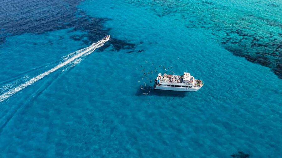 Ibiza: Formentera Trip with Paddle, Snorkel and Lunch - Starting at Playa den Bossa at 8:30 am