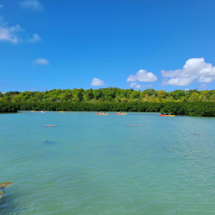 Ile d Ambre Kayaking - Key points to know before you book
