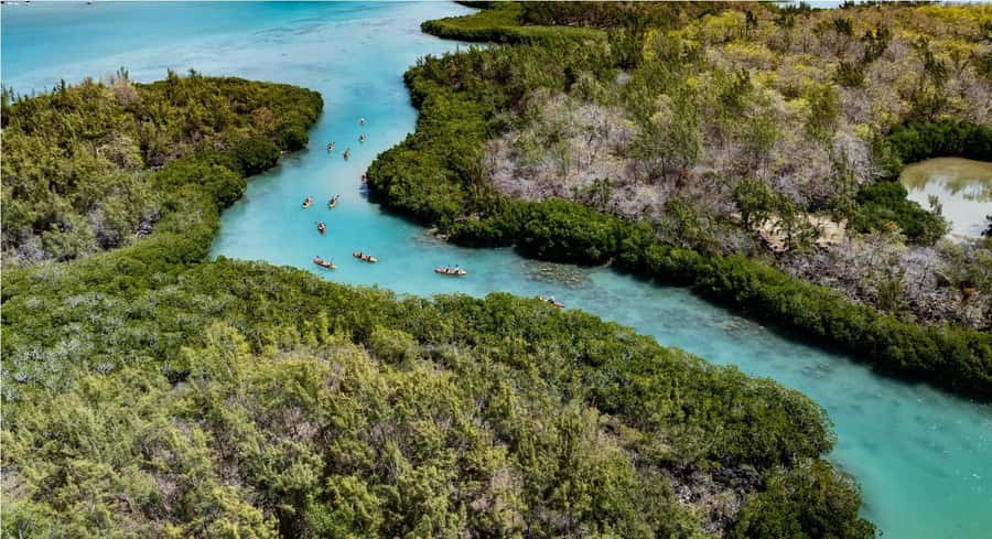 Ile d Ambre Kayaking - Inside the mangroves