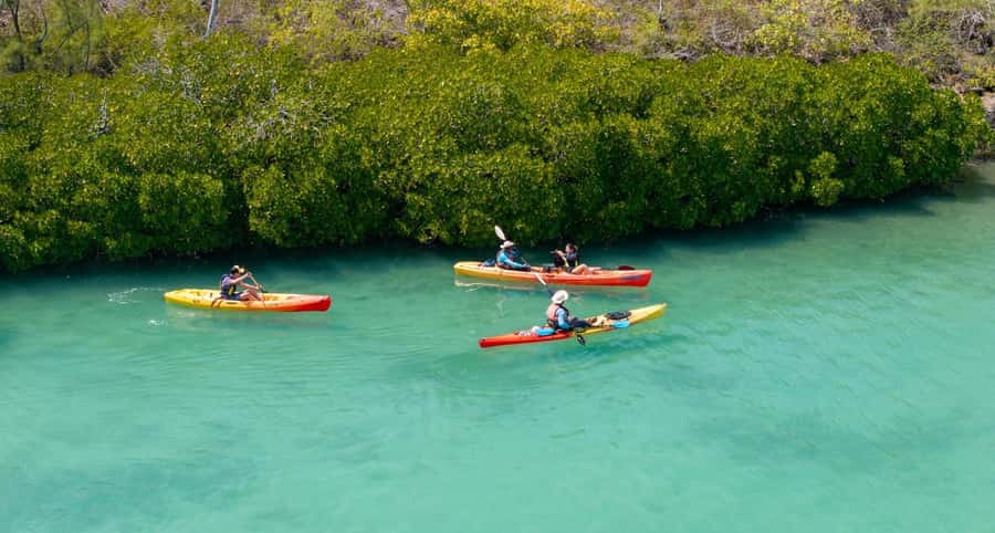 Ile d Ambre Kayaking - The swim and snorkel stop