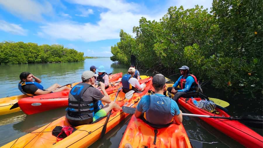 Ile d Ambre Kayaking - What the $64 price includes