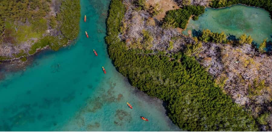 Ile d Ambre Kayaking - Who will enjoy this trip most