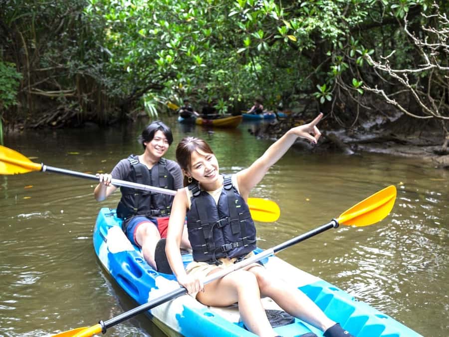 Iriomote island: Mangrove River SUP or Canoe Cruising Tour - Key points to know before you go