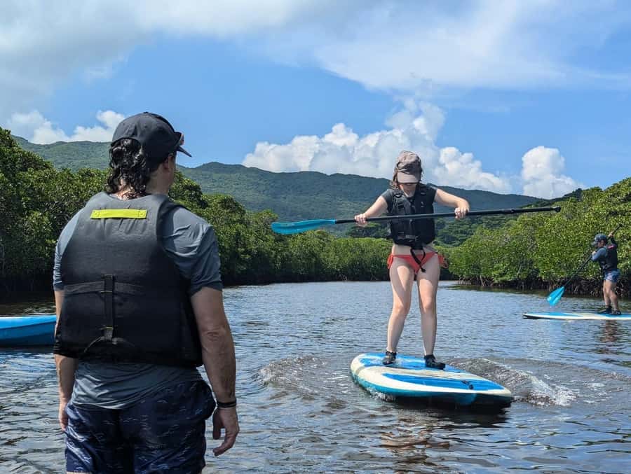 Iriomote island: Mangrove River SUP or Canoe Cruising Tour - Why Iriomote’s mangroves are worth your time