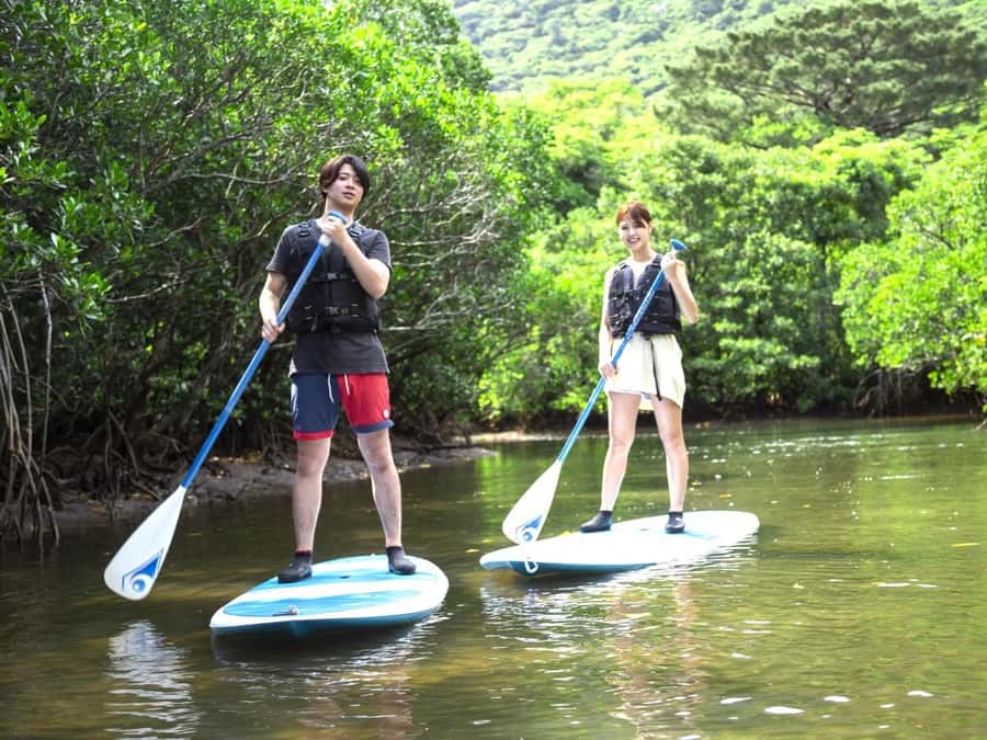 Iriomote island: Mangrove River SUP or Canoe Cruising Tour - The first 90 minutes on the water