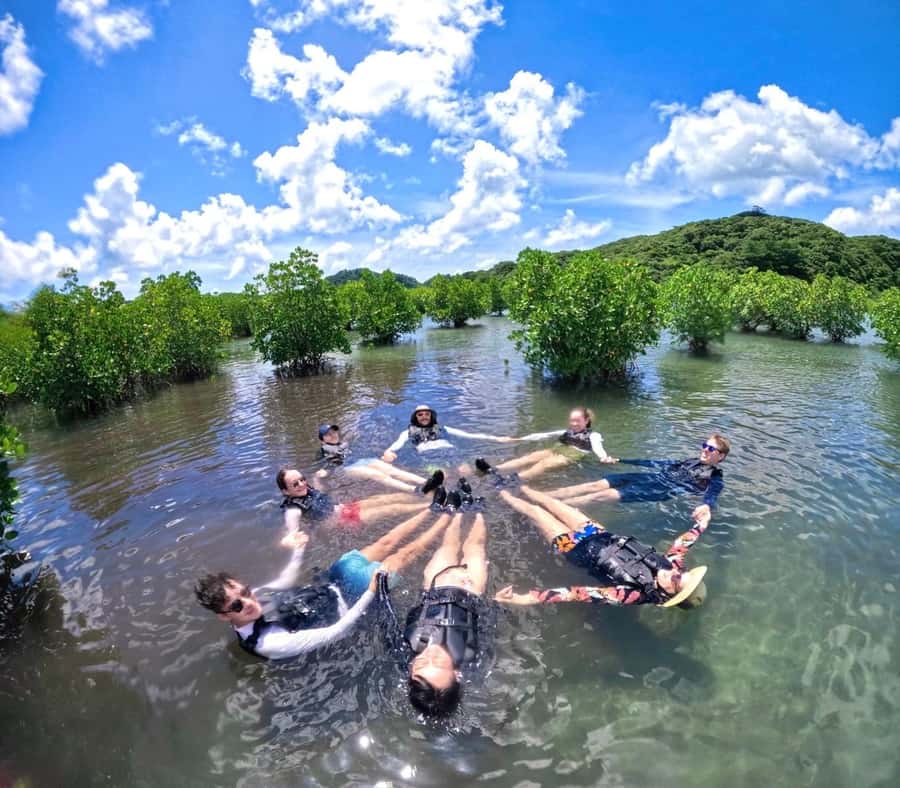 Iriomote island: Mangrove River SUP or Canoe Cruising Tour - The low-tide mangrove walk