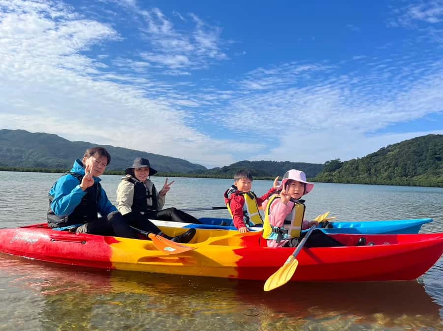 Iriomote island: Mangrove River SUP or Canoe Cruising Tour - Is $50 a fair price?