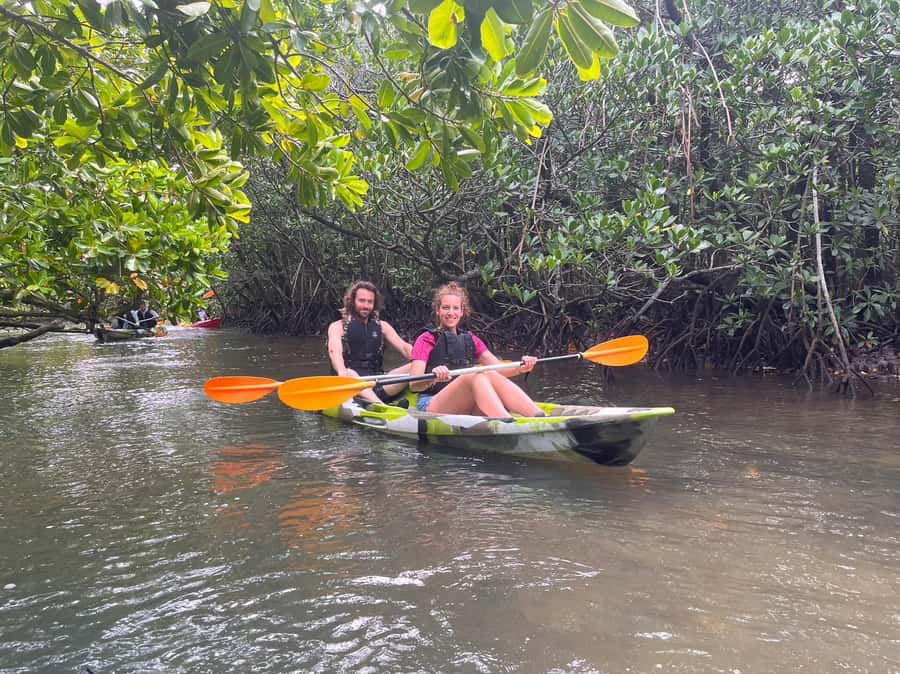 Iriomote island: Mangrove River SUP or Canoe Cruising Tour - Final call: a good first look at Iriomote