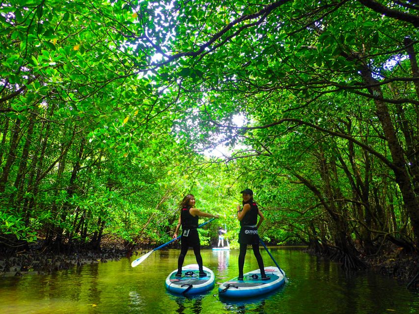 Iriomote Island: SUP or Canoeing and Canyoning Tour - Weather, clothing, and practical preparation