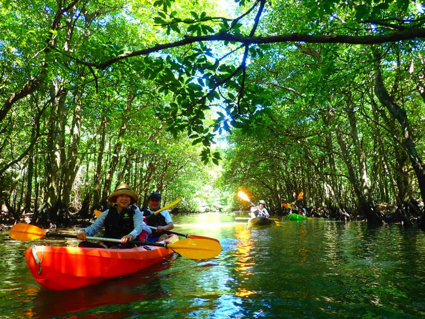 Iriomote Island: SUP or Canoeing and Canyoning Tour - Why Iriomote is a good place for this kind of day