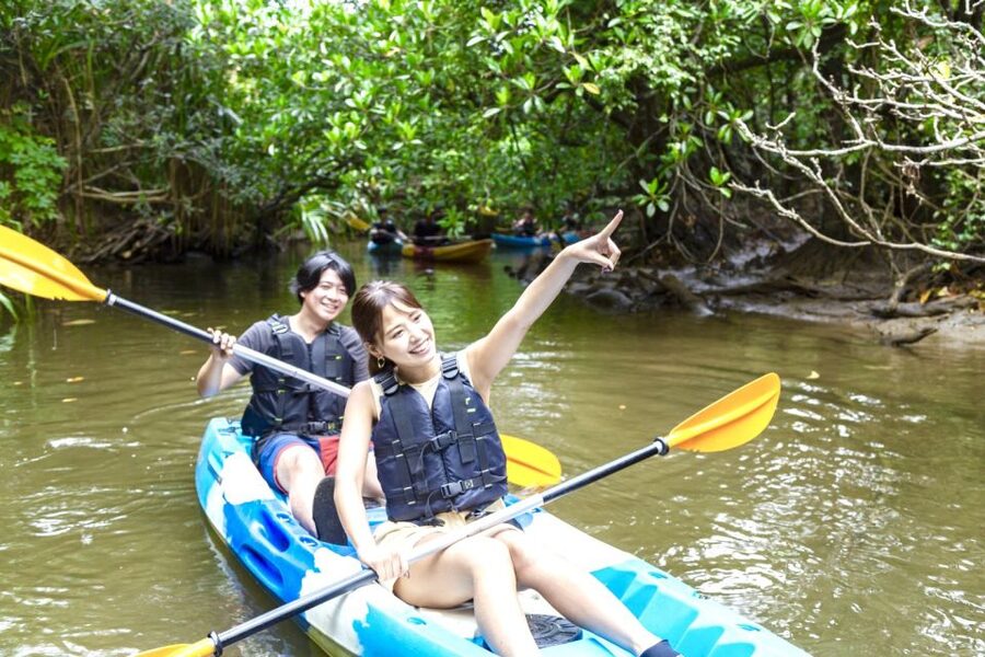Iriomote Island: SUP or Canoeing and Canyoning Tour - What the feedback tells you about the guide style