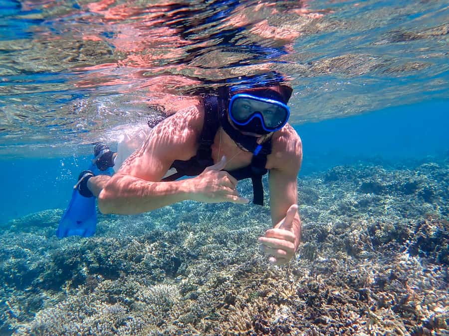 Iriomote Mangrove SUP and Snorkeling at Coral island - Key points to know before booking
