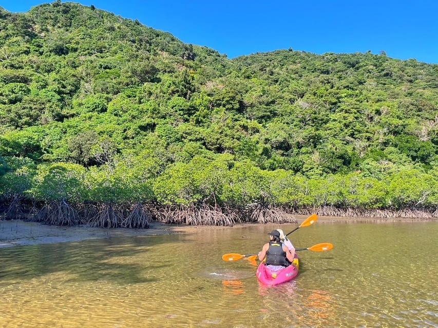 Iriomote Mangrove SUP and Snorkeling at Coral island - Who will enjoy this tour most