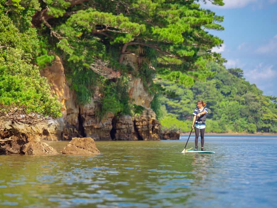 Iriomote Mangrove SUP and Snorkeling at Coral island - Snorkeling near Coral Island