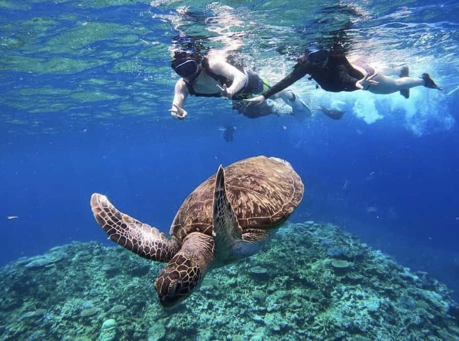 Iriomote Mangrove SUP and Snorkeling at Coral island - Starting at Uehara Port and heading to the sea