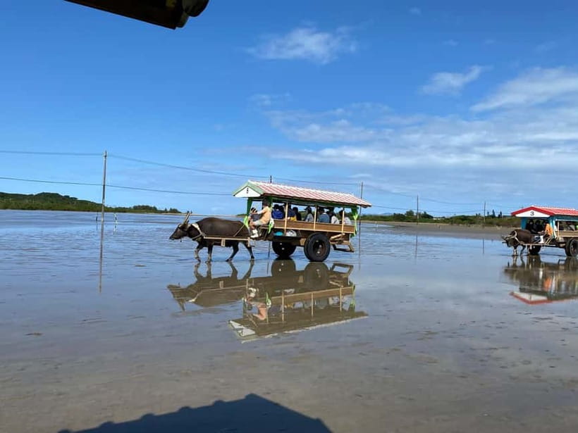 Iriomote: Mangrove SUP or Canoe and Yubujima sightseeing - The one-hour pause and the change of pace