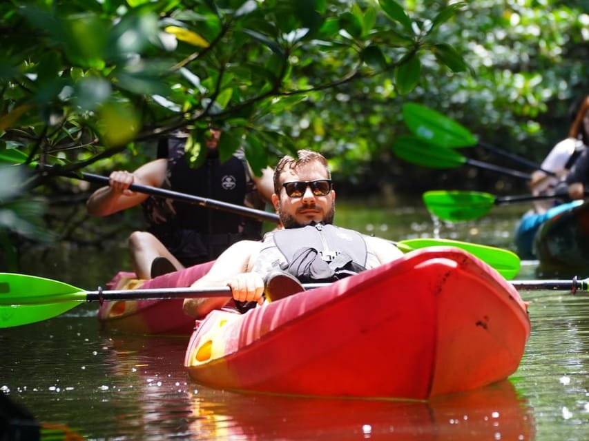 Iriomote: Mangrove SUP or Canoe and Yubujima sightseeing - Guides, language, and the quality of the day