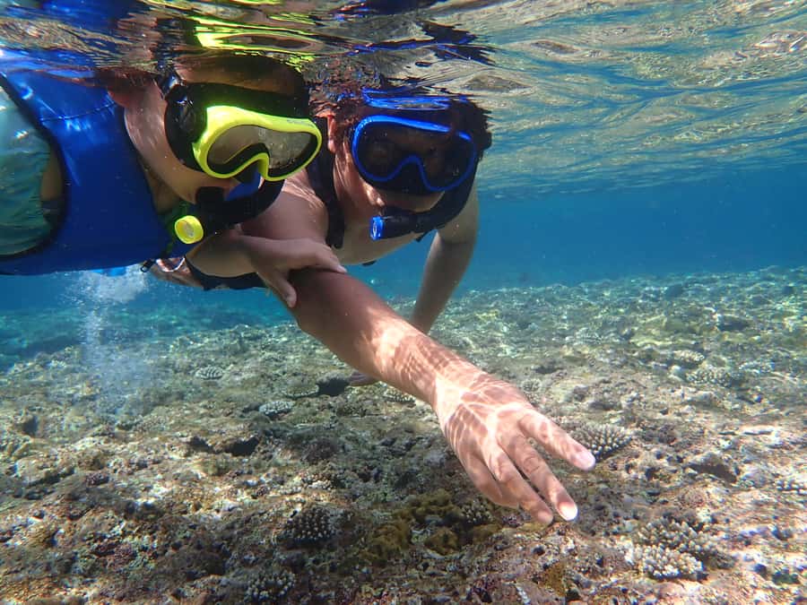 Ishigaki: Canoe or SUP at Kabira Bay＆Snorkeling at Blue Cave - My call: book it for variety, not intensity