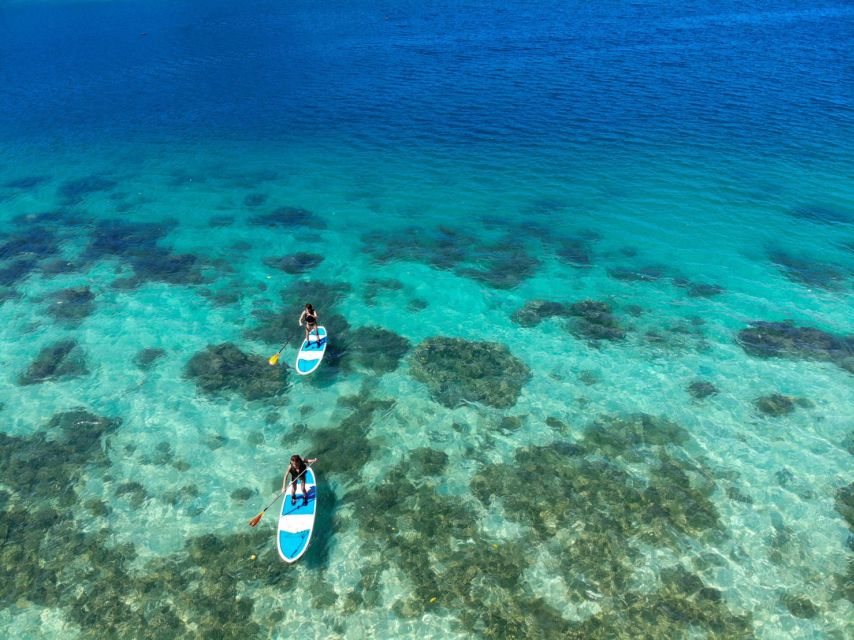 Ishigaki: Canoe or SUP at Kabira Bay＆Snorkeling at Blue Cave - Guides make the difference