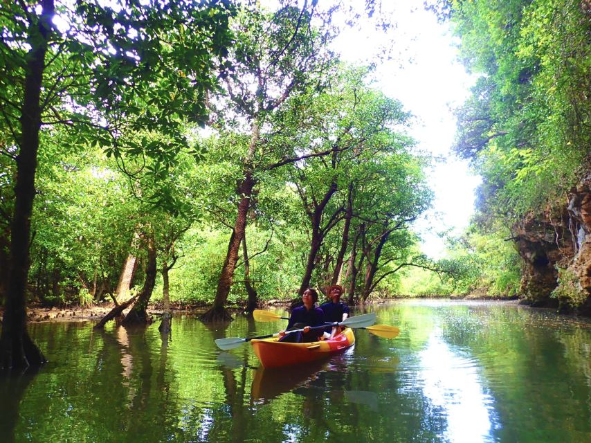 Ishigaki Island: 2-Hour Miyara River SUP or Canoeing Tour - Is $54 good value for two hours?