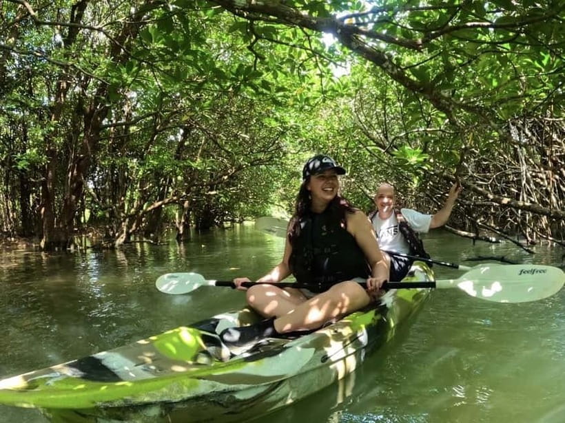 Ishigaki Island: 2-Hour Miyara River SUP or Canoeing Tour - Choosing between a canoe and SUP