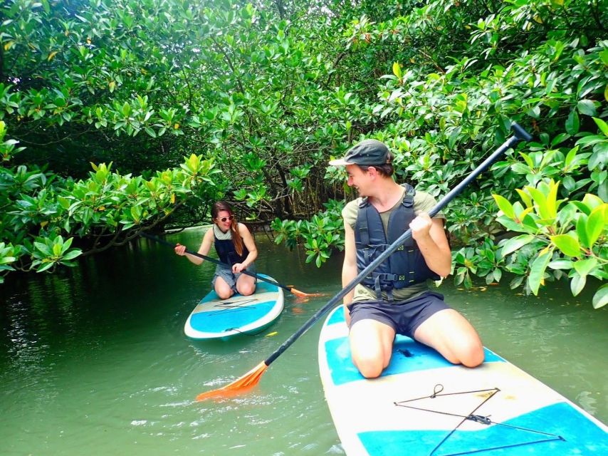 Ishigaki Island: 2-Hour Miyara River SUP or Canoeing Tour - The 75-minute paddle through the mangroves