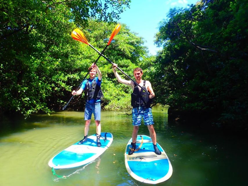 Ishigaki Island: 2-Hour Miyara River SUP or Canoeing Tour - What makes the guide service useful