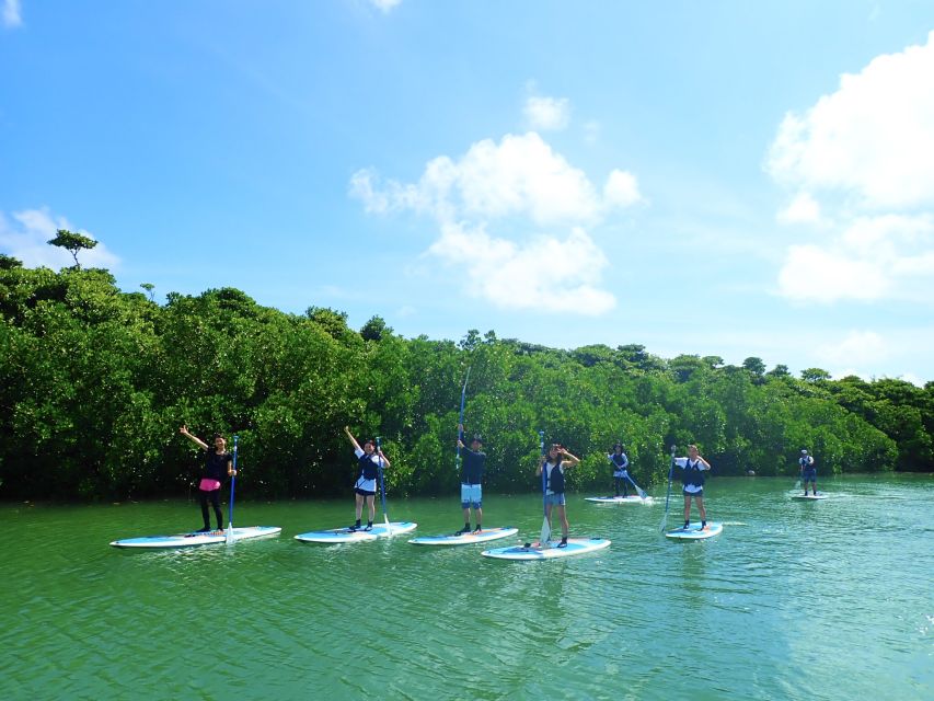 Ishigaki Island: 2-Hour Miyara River SUP or Canoeing Tour - Family suitability and physical demands