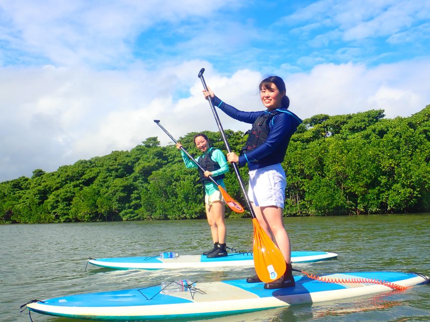 Ishigaki Island: 2-Hour Miyara River SUP or Canoeing Tour - Weather, timing, and comfort