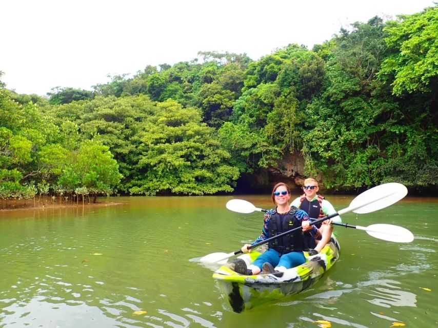 Ishigaki Island: 2-Hour Miyara River SUP or Canoeing Tour - Starting at Ishigaki Port Remote Island Terminal