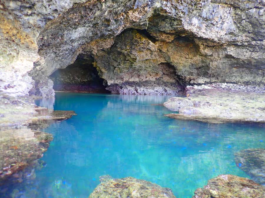 Ishigaki Island: SUP or Canoeing and Snorkeling at Blue Cave - The long port break and your lunch plan