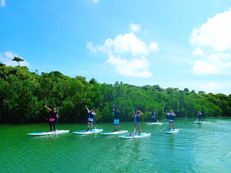 Ishigaki Island: SUP or Canoeing and Snorkeling at Blue Cave - Guides, language, and safety support