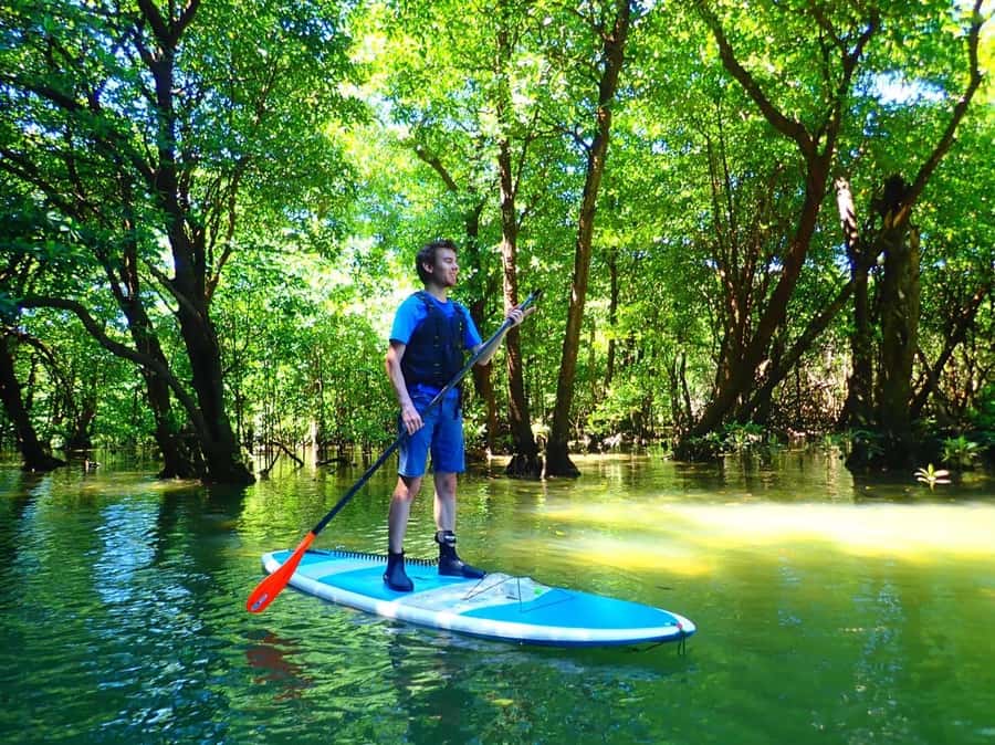 Ishigaki Island: SUP or Canoeing and Snorkeling at Blue Cave - Meeting at Ishigaki Port