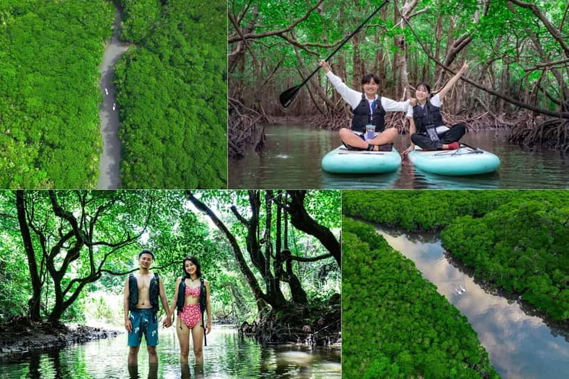 Ishigaki:Mangrove&Sea SUP/Kayak Tour with SLR&Drone footage - Key points to know before you book