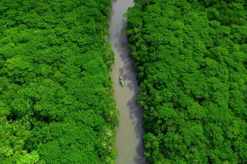 Ishigaki:Mangrove&Sea SUP/Kayak Tour with SLR&Drone footage - Who will enjoy this tour most