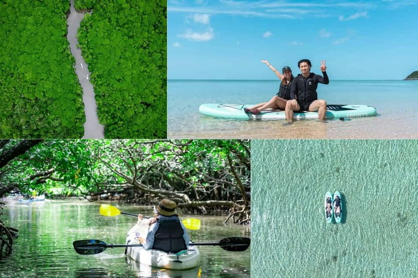 Ishigaki:Mangrove&Sea SUP/Kayak Tour with SLR&Drone footage - Paddling through the Fukidogawa mangroves