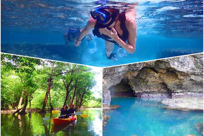 [Ishigaki]Mangrove SUP/Canoe + Blue Cave Snorkeling - Key points to know before booking