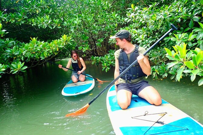 [Ishigaki]Mangrove SUP/Canoe + Blue Cave Snorkeling - A morning split between river and reef