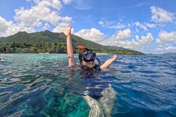 [Ishigaki]Mangrove SUP/Canoe + Blue Cave Snorkeling - Price, group size, and what you get